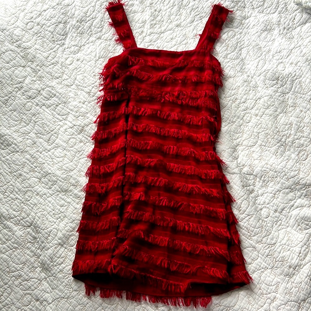 Show Me Your Mumu Red Mini Dress